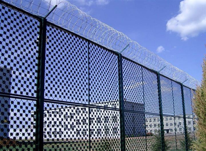 梅花刺片隔離網